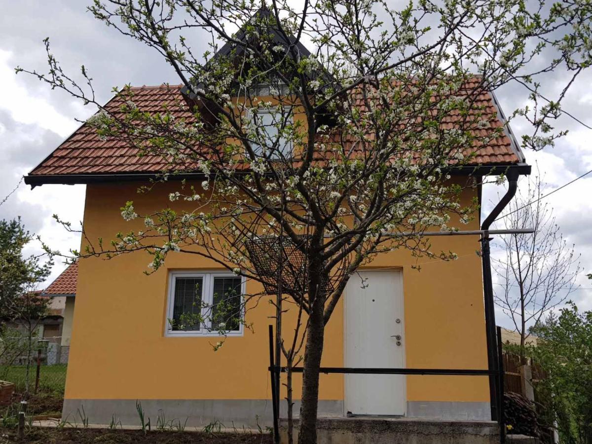 Holiday home Zlatiborsko Jutro 1 Zlatibor